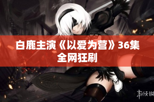 白鹿主演《以爱为营》36集全网狂刷