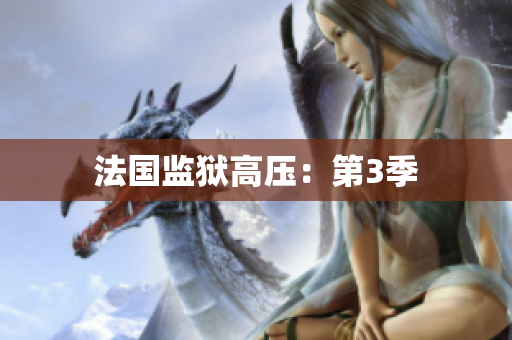 法国监狱高压：第3季