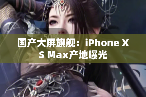 国产大屏旗舰：iPhone XS Max产地曝光