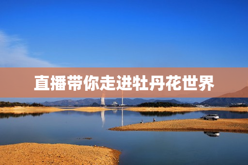 直播带你走进牡丹花世界