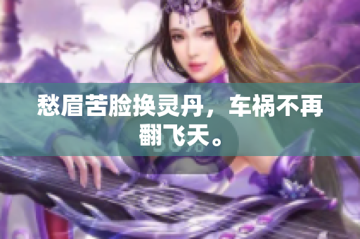 愁眉苦脸换灵丹，车祸不再翻飞天。
