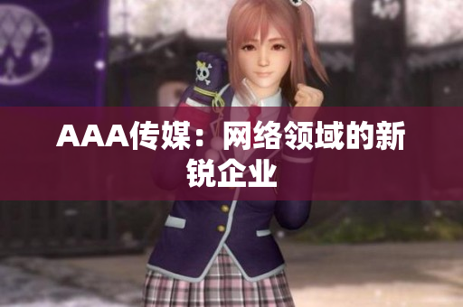 AAA传媒：网络领域的新锐企业