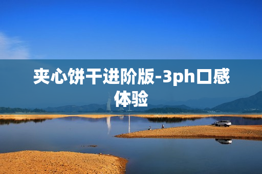 夹心饼干进阶版-3ph口感体验