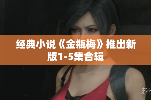 经典小说《金瓶梅》推出新版1-5集合辑