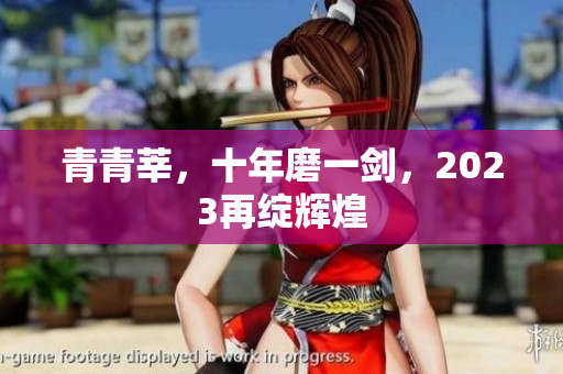 青青莘，十年磨一剑，2023再绽辉煌