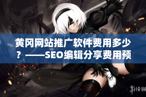 黄冈网站推广软件费用多少？——SEO编辑分享费用预估