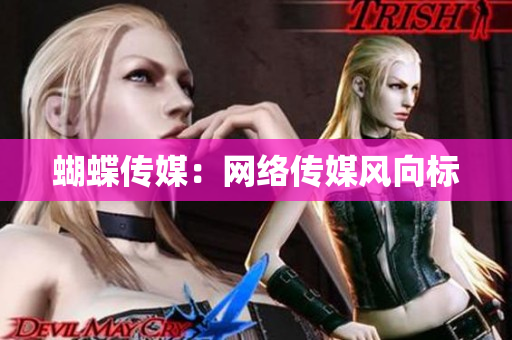 蝴蝶传媒：网络传媒风向标