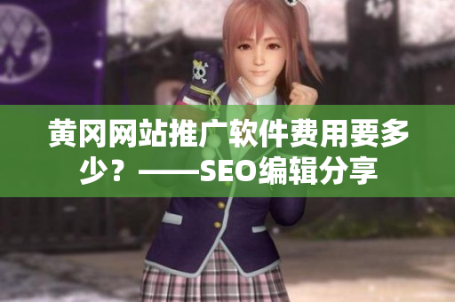 黄冈网站推广软件费用要多少？——SEO编辑分享