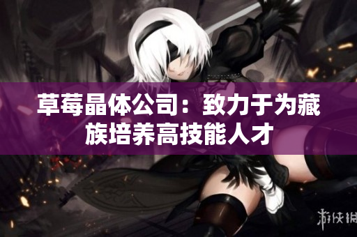 草莓晶体公司：致力于为藏族培养高技能人才