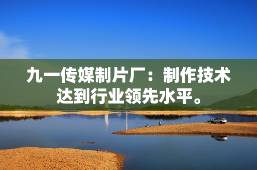 九一传媒制片厂：制作技术达到行业领先水平。