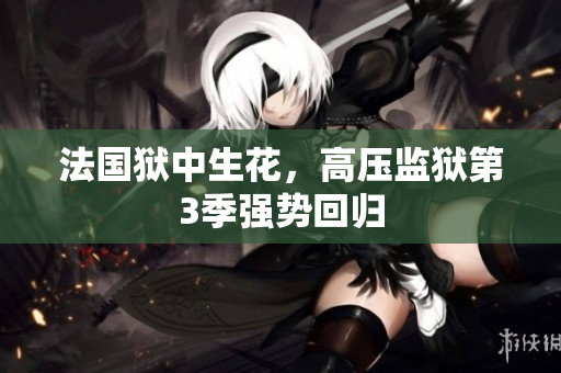 法国狱中生花，高压监狱第3季强势回归