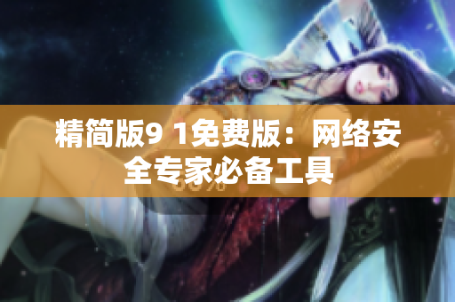 精简版9 1免费版：网络安全专家必备工具