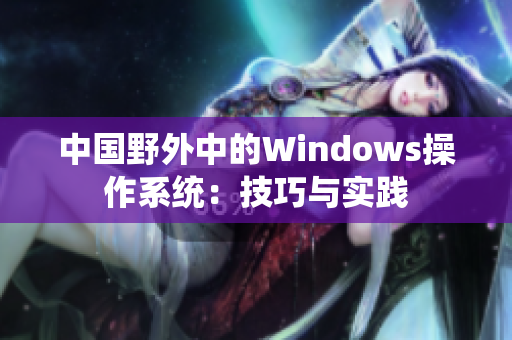 中国野外中的Windows操作系统：技巧与实践
