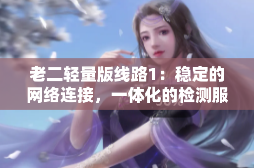 老二轻量版线路1：稳定的网络连接，一体化的检测服务