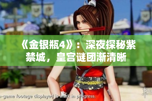 《金银瓶4》：深夜探秘紫禁城，皇宫谜团渐清晰