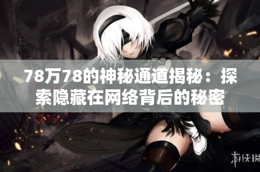78万78的神秘通道揭秘：探索隐藏在网络背后的秘密
