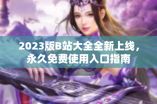 2023版B站大全全新上线，永久免费使用入口指南