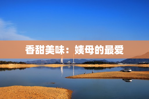 香甜美味：姨母的最爱