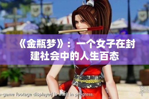 《金瓶梦》：一个女子在封建社会中的人生百态