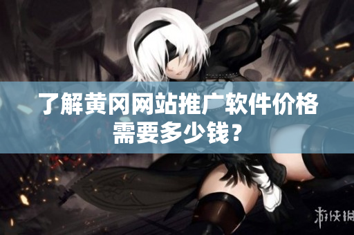 了解黄冈网站推广软件价格需要多少钱？