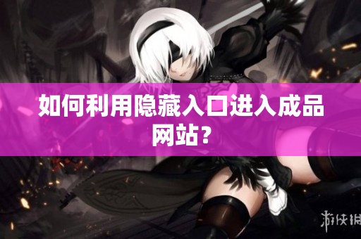 如何利用隐藏入口进入成品网站？