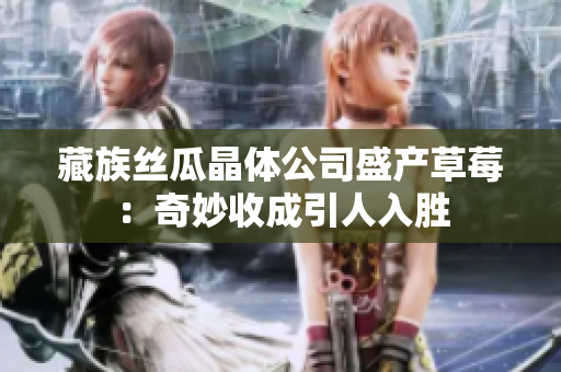 藏族丝瓜晶体公司盛产草莓：奇妙收成引人入胜