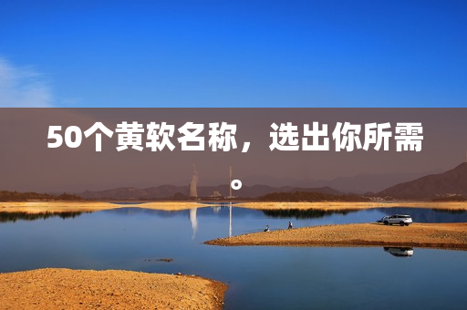 50个黄软名称，选出你所需。