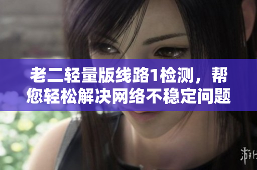 老二轻量版线路1检测，帮您轻松解决网络不稳定问题！