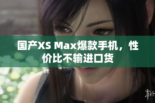 国产XS Max爆款手机，性价比不输进口货