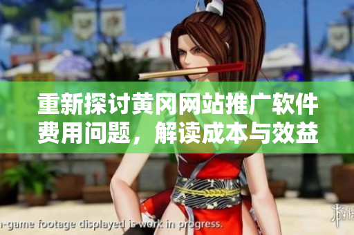 重新探讨黄冈网站推广软件费用问题，解读成本与效益。