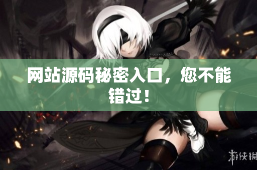 网站源码秘密入口，您不能错过！