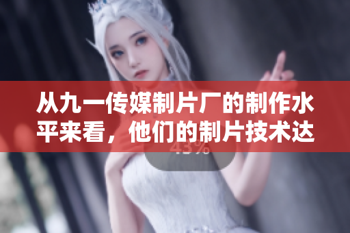 从九一传媒制片厂的制作水平来看，他们的制片技术达到了何种高度？