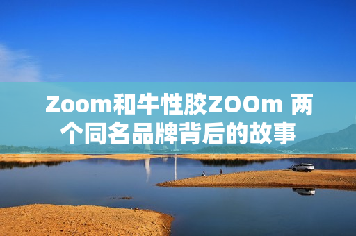 Zoom和牛性胶ZOOm 两个同名品牌背后的故事