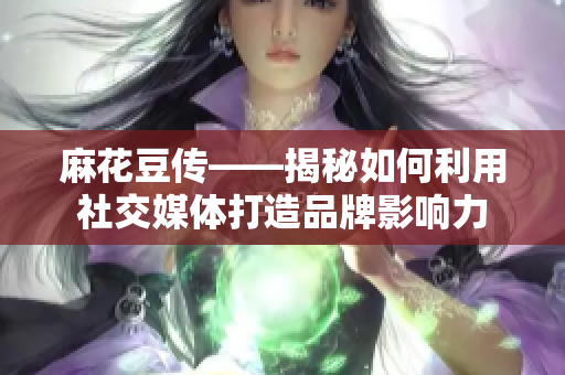 麻花豆传——揭秘如何利用社交媒体打造品牌影响力