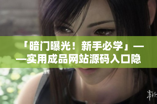 「暗门曝光！新手必学」——实用成品网站源码入口隐藏技巧
