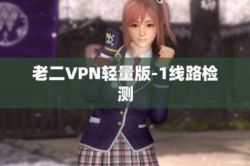 老二VPN轻量版-1线路检测