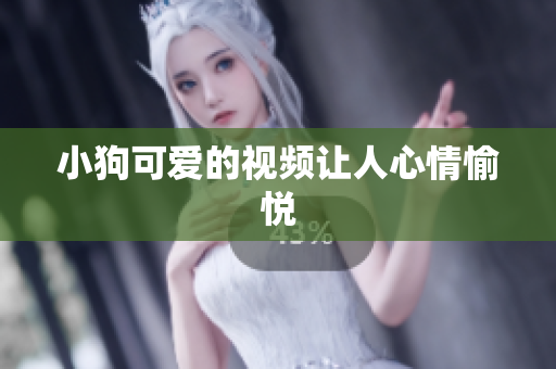 小狗可爱的视频让人心情愉悦