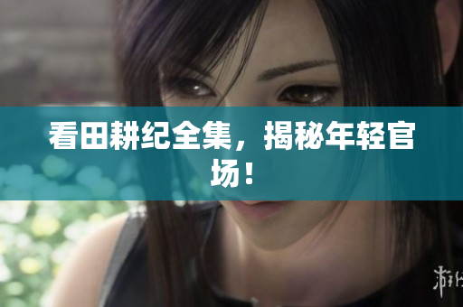 看田耕纪全集，揭秘年轻官场！
