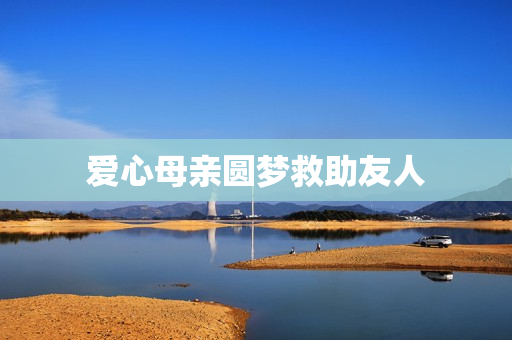 爱心母亲圆梦救助友人