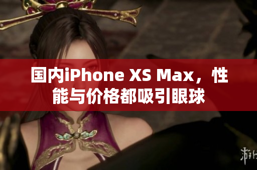 国内iPhone XS Max，性能与价格都吸引眼球