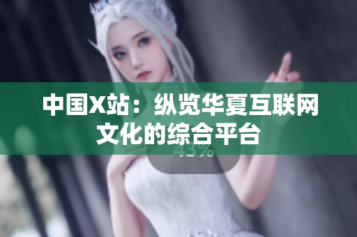 中国X站：纵览华夏互联网文化的综合平台