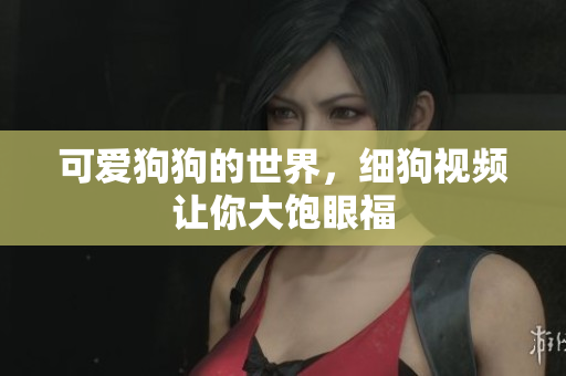 可爱狗狗的世界，细狗视频让你大饱眼福