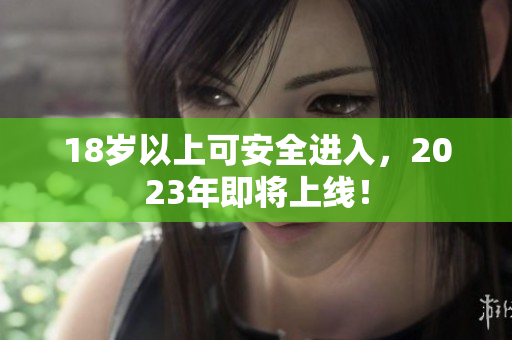 18岁以上可安全进入，2023年即将上线！