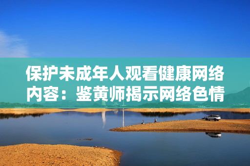 保护未成年人观看健康网络内容：鉴黄师揭示网络色情陷阱