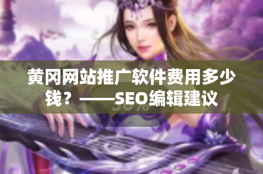 黄冈网站推广软件费用多少钱？——SEO编辑建议