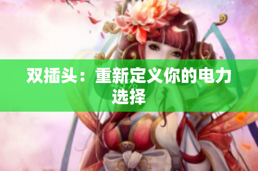双插头：重新定义你的电力选择