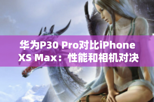 华为P30 Pro对比iPhone XS Max：性能和相机对决