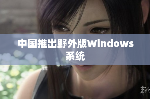 中国推出野外版Windows系统