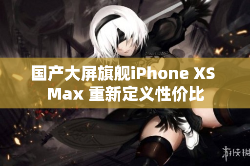 国产大屏旗舰iPhone XS Max 重新定义性价比