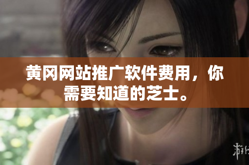 黄冈网站推广软件费用，你需要知道的芝士。